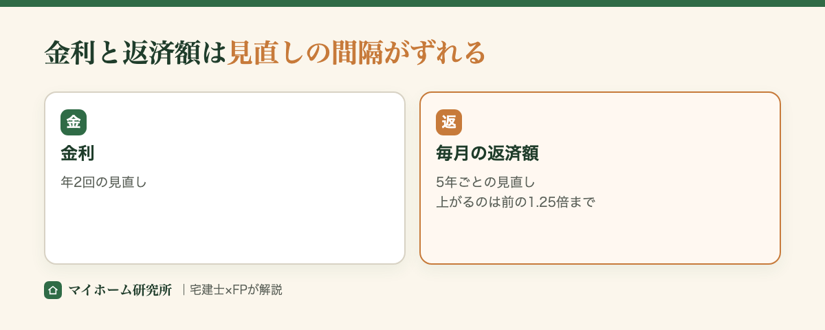 金利と返済額は見直しの間隔がずれる。金利は年2回の見直し、毎月の返済額は5年ごとの見直しで、上がるのは前の1.25倍まで